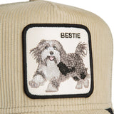 Goorin Bros - Dapper Bestie Corduroy - Scout