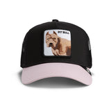 Goorin Bros - The Pit Bull Dog - Void / Whisper