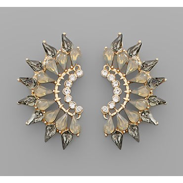 Glass Stone Wing Earrings - Black Diamond