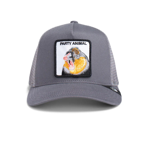 Goorin Bros - The Party Animal - Grey